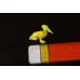 ПЕЛИКАН птицы животные  Гонконг