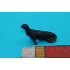 МОРСЬКИЙ КОТИК ТЮЛЕНЬ ТВАРИНИ животные  Гонконг